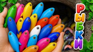 Мультики для детей и малышей про водных обитателей. Ловим и рассматриваем рыбок. Мультики залипалки