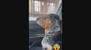 Смешные комментарии