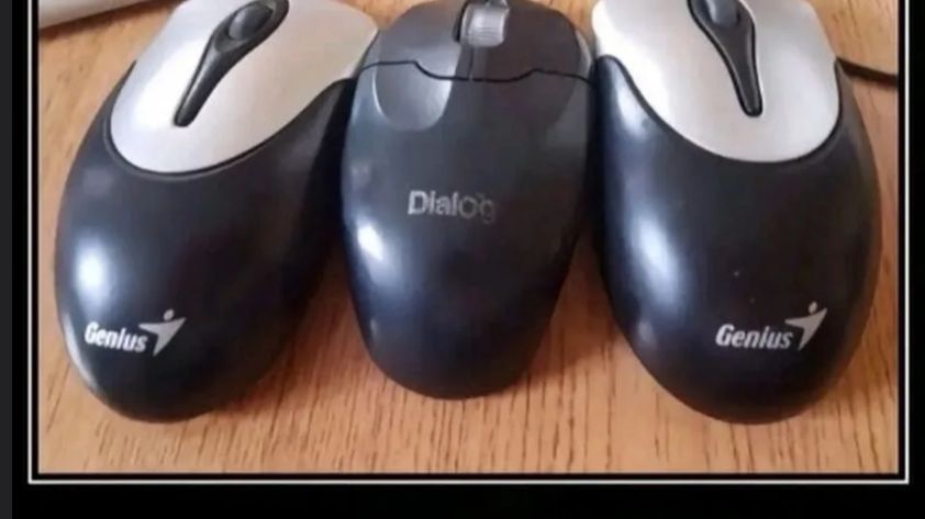 диалог между двумя гениями