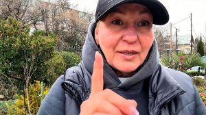 Не обрезайте розы наугад! Есть чёткая схема — показываю её…
