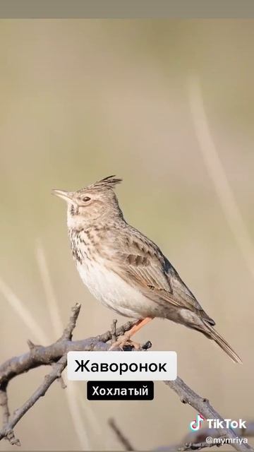 a702eda8e4d38149a082ed2d79ad9605_1774461623891.mp4