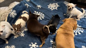 Всем пренаидобрейшего утречка и легкого начала недели.