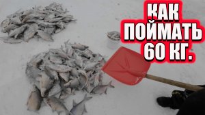 Как поймать 60кг. Грузим рыбу лопатой в мешки. Зимняя рыбалка 2026 март. Рыболовный fishing. Рыбалка