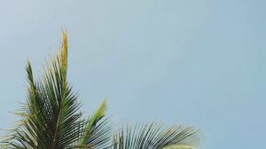 Chill Vibes 🌴 Расслабляющий летний микс