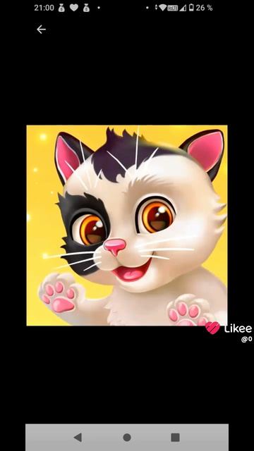 моя кошка