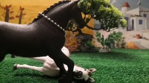 Клип на 30 подписчиков!!!
психопатка.
Спасибо огромное за 30 подписчиков ❤️
надеюсь вам понравится