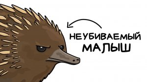 Ты - Ехидна (И ТЕБЕ РЕАЛЬНО ПОВЕЗЛО)