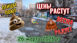 Птицы поют, цены растут, весна радует 26 марта 2026 г