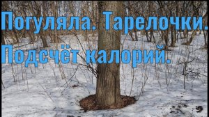 Ночной жор. Подсчёт калорий. Тарелочки. Прогулка.