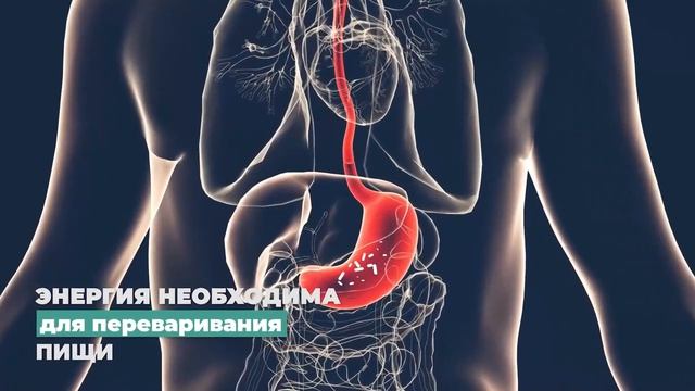 Этого не знают 99% людей! Вот куда уходит ваша энергия после еды