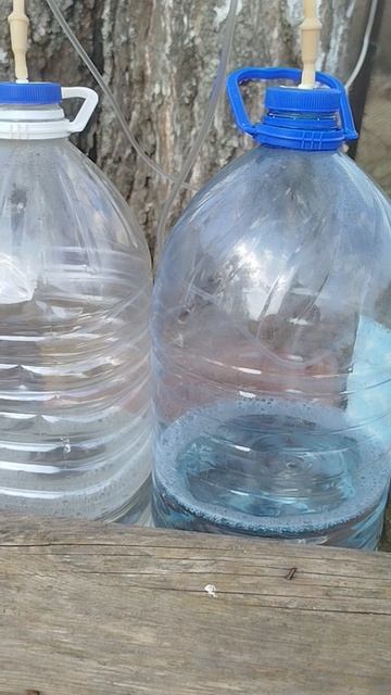 Берëзовый сок.