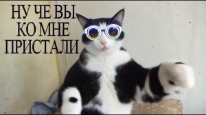 КРАЗИ КНОПКА=========