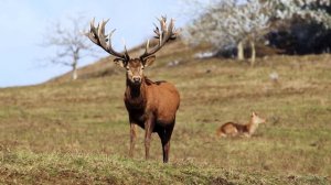 011_Разговор по душам 1280х720