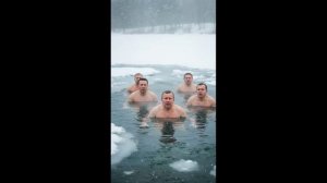 AdlerNice - Вы (dance версия)