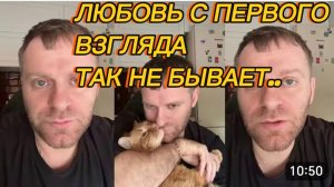 САМВЕЛ АДАМЯН, ЛЮБОВЬ С ПЕРВОГО ВЗГЛЯДА, ЧТО ПОПАЛО.. ТАК НЕ БЫВАЕТ..