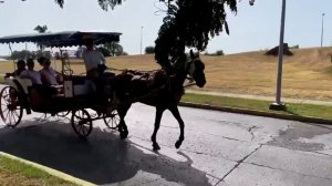 Природа и цивилизация