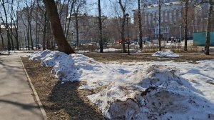 26-03-2026Деловая прогулка пр Москве