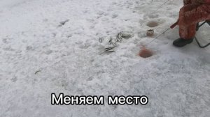 Рыбалка на корюшку / озеро Изменчивое / 26 марта 2026 года