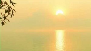 А в небе солнце выползает из-за туч. ( стих в прозе).