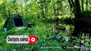 Кемпинг на острове, между двумя реками. Отличная Рыбалка