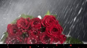 В моих глазах отражается роза (Песня)