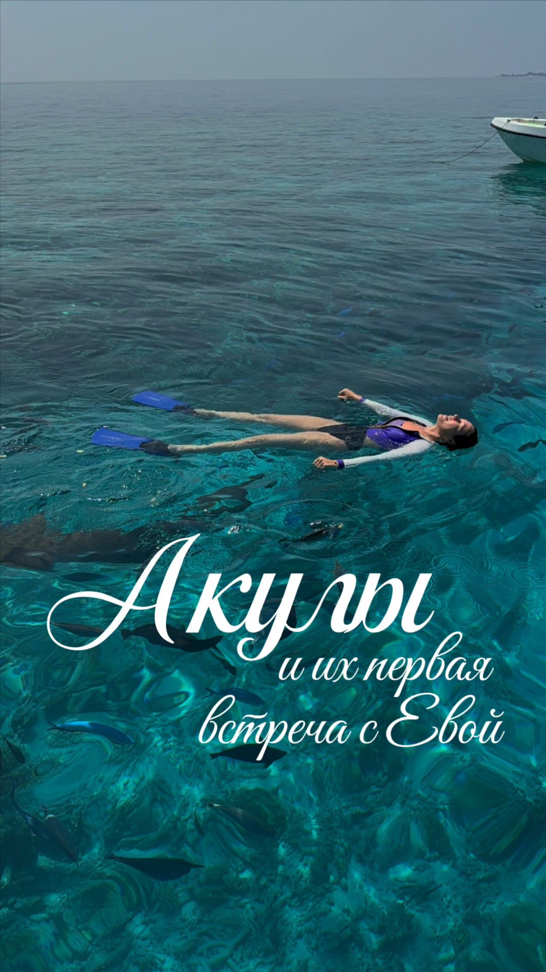 Акулы и их первая встреча с Евой 🦈🌊