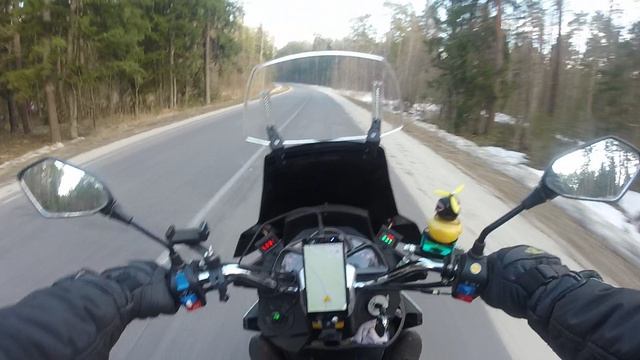 Сезон открыт ..Скутер в деле!!