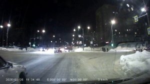 Животное за рулём