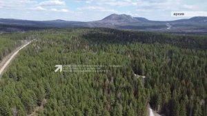 «Блок коротких новостей» 26.03.2026