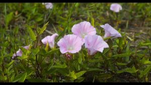 Три роковые ошибки 27 марта. Которые лишат вас денег.