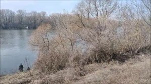 Разлив на реке Дон, МОСТ между Гремячьем и Малышево УБРАЛИ, 25.03.2026