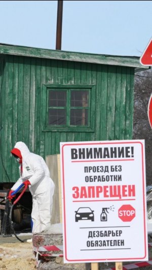 Вспышка пастереллеза, которую проспали власти Новосибирской области