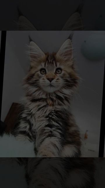 МОЙ ПЕРВЫЙ ЭДИТ