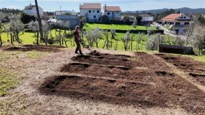 Огород с нуля в Португалии- неделю назад тут лежал вековой дуб _ Дом в Португалии. Выпуск 56