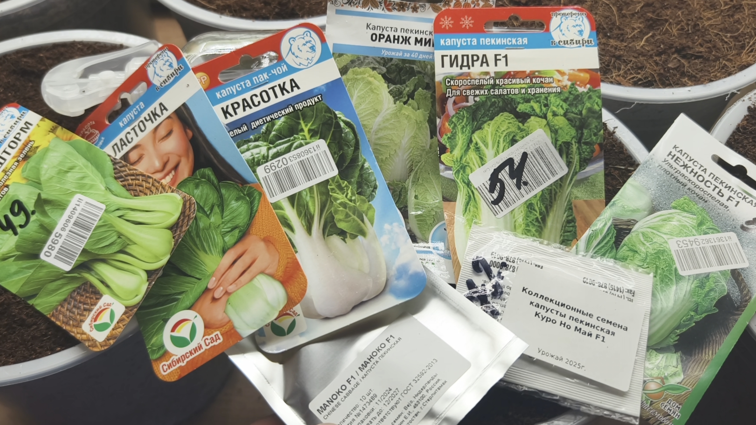 КАПУСТА ЧТО ПОСАДИТЬ ЭТИМ ЛЕТОМ