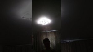 демид кобочок тм