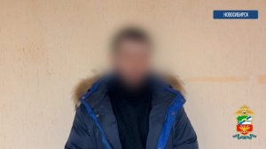 Новосибирская транспортная полиция ликвидировала канал нелегальной миграции иностранцев в Россию