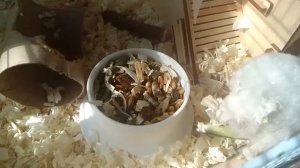 Просто Кузька.😀