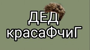 Тайные поклонницы домосера