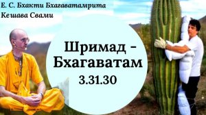 ШБ 3.31.30 / ББ Кешава Свами