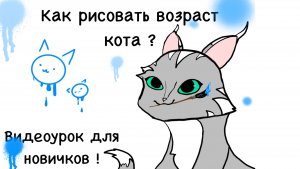 🧐 Как рисовать возраст кота ? Видеоурок для новичков ! 😁