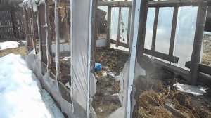 ремонт теплицы