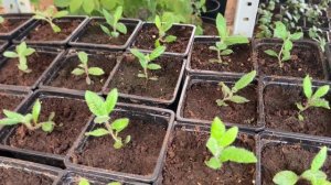 Наша лаборатория в апреле