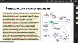 корь паротит краснуха КПК