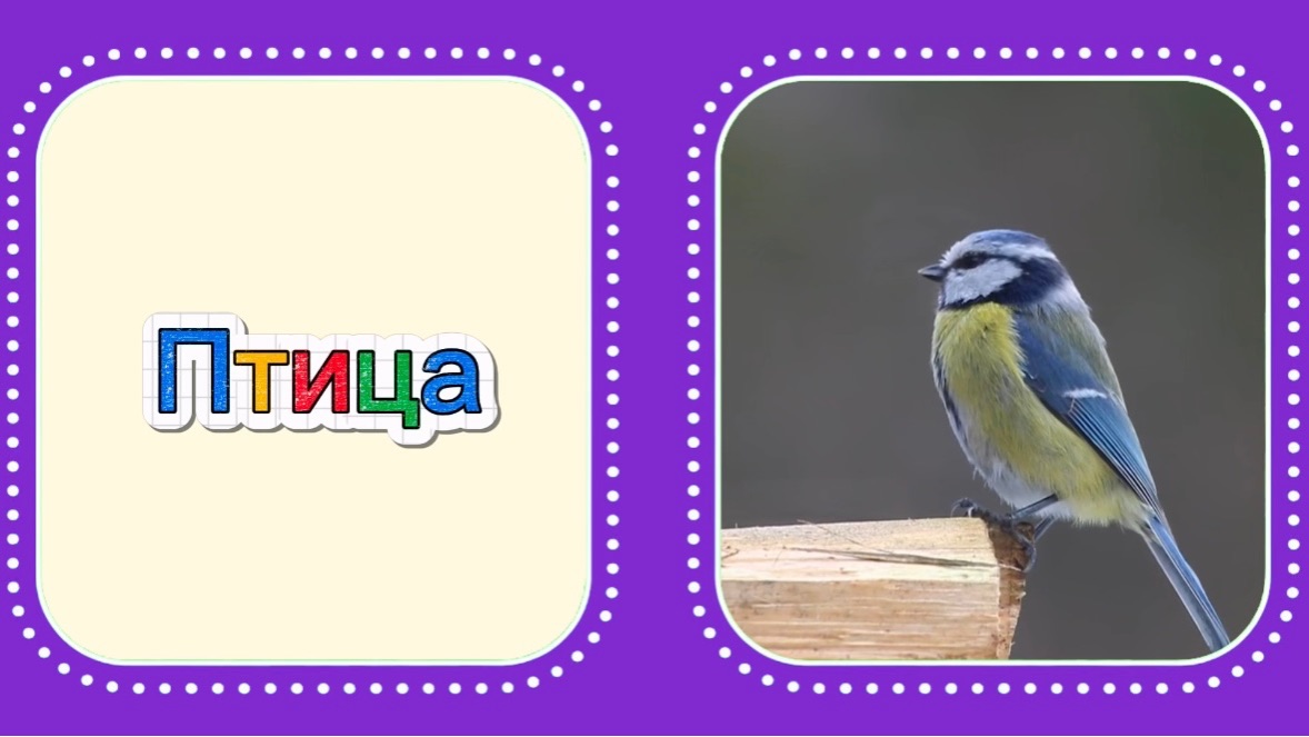 Первые слова  Учимся говорить  Развивающее видео  Развитие речи