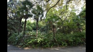 Дендрарий Сочи 13.10.2018