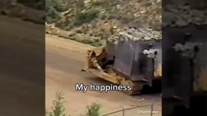 Моё счастье