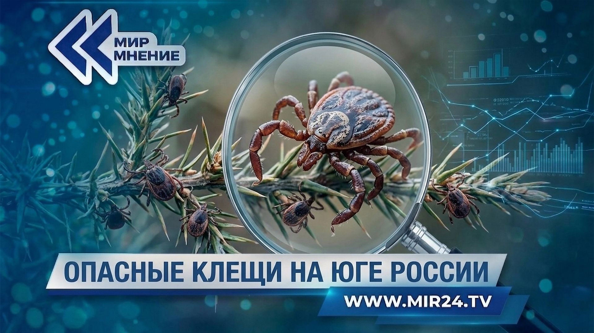 На юге России на охоту вышли клещи-мутанты