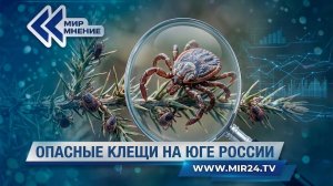 На юге России на охоту вышли клещи-мутанты