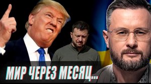ТРАМП ДАЛ ЗЕЛЕНСКОМУ МЕСЯЦ  / ТАРАС СИДОРЕЦ (Тарик Незалежко) новости